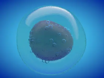IVF cell simulation animal or human cell and needle 3D model