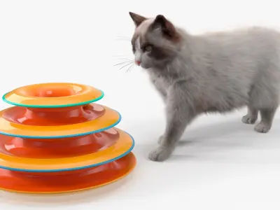  Circular Cat Toy Tower with Moving Balls Fur Animated Rigged 