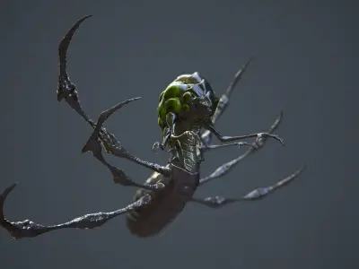 Abathur spider Low-poly 3D model