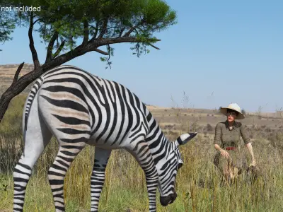  Explorer and Zebra Foal 