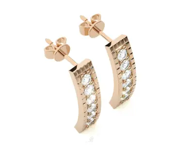 Light wt Women Diamond Earrings  3D print model