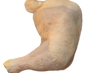Chicken Leg Free 3D model