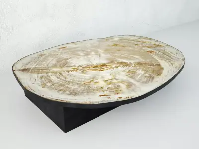 Petrified Wood Slice Coffee Table 2 3D model