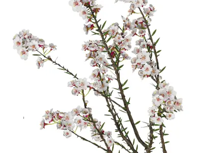 Decorative set 26 3D model get