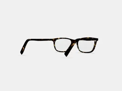 Welty Eyeglasses in Whiskey Tortoise 3D model