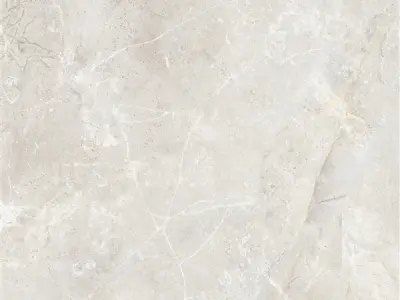 Marble Floor Amazon Bone Texture