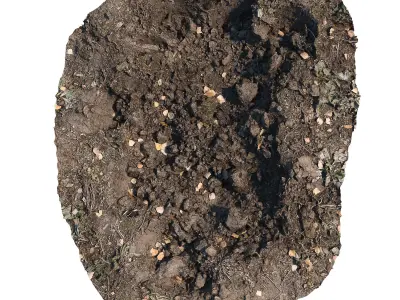 Ultra realistic Dirt pit Scan Low-poly 3D model