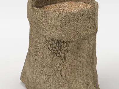 Food Sack Grain Open 3D Model 3D model