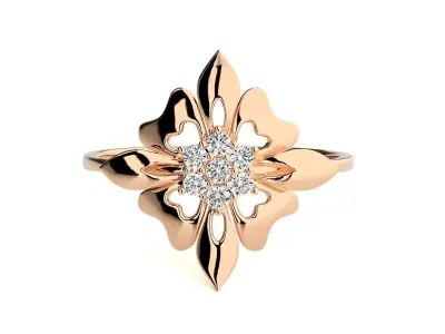 Ring - 67 3D print model