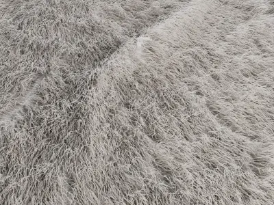 Cozy Fur Carpet 3D model
