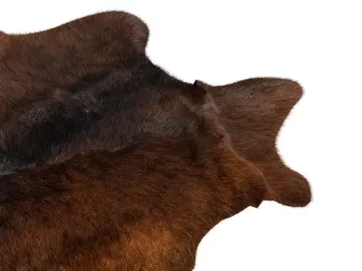 Animal skin rug 14 3D model