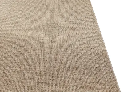 Carpet set 2215 - Jute Rug Taupe - 5K 3D model