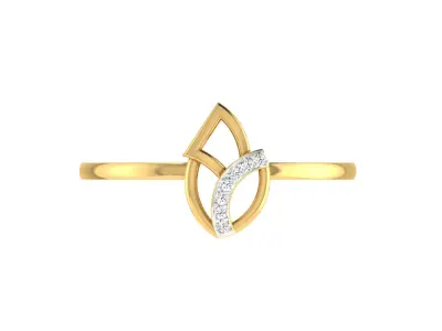 Ring - 121 3D print model