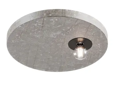 Dark Rond Ceiling Lamps 3D model