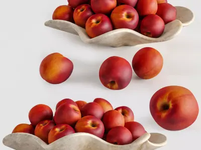 Nectar plate 3D model