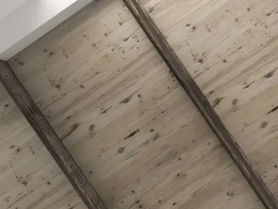 wooden ceiling 12 Texture