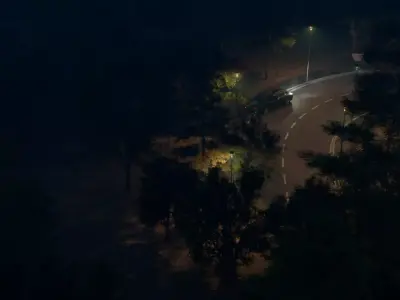 Forest 3d Scene 3D model