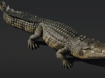  Saltwater Crocodile Rigged 