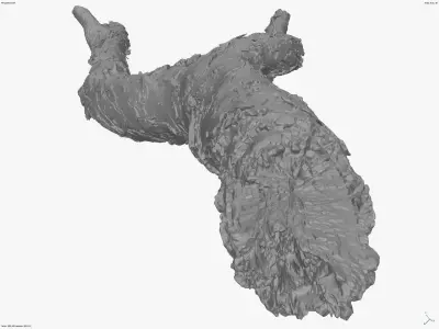 Burnt Tree Trunk 8x4k - 1x16k - 3x16k Textures Raw 3D scan Low-poly 3D model