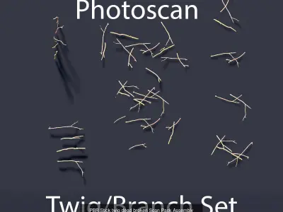 Pine Tree Collection PBR Scan 3D Model Pack