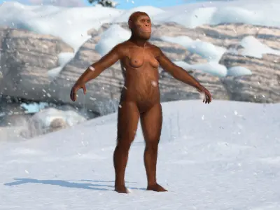  Life-Size Model of Prehistoric Hominin Female Fur for Cinema 4D 