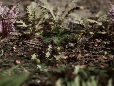 Ground Plants 21 Assets Low-poly 3D model