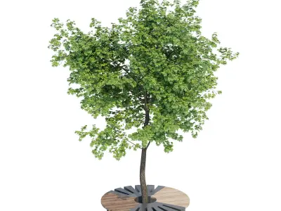 Round B tree 3D model