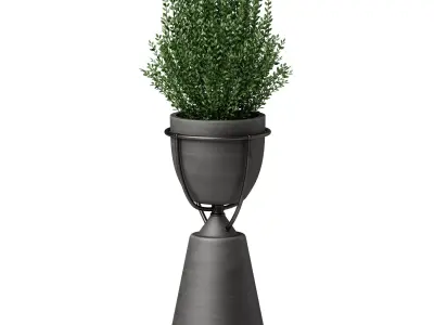 Floor vase with plant Kashpo 3D model