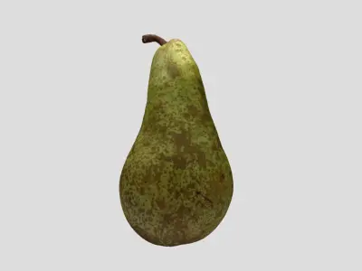 A pear fruit 3D model