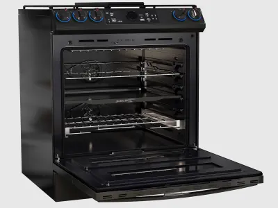 Dual Fuel Range Samsung 3D model