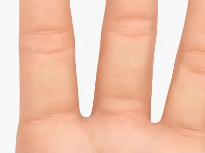  Customizable Rigged and Animated Hands 