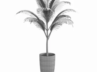 Green Palm decorative plant 1 3D model