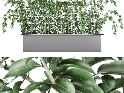 plant 001 Free 3D model