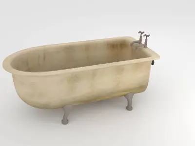 Dirty Bath 3D model