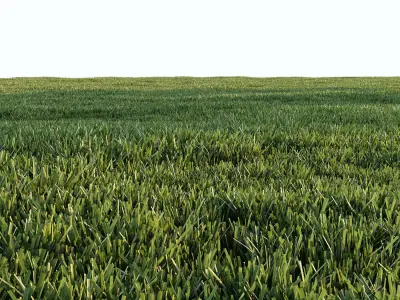 Cut grass for landscape 3D model