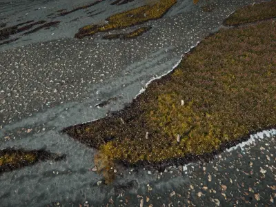 Mountain Lake Valley Environment - Unity 2017 Project Low-poly 3D model