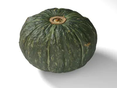 Green Japanese Pumpkin - Photorealistic  Scan Low-poly 3D model