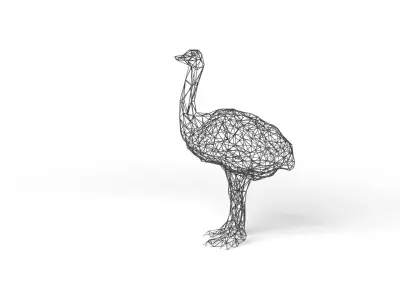 Ostrich Wireframe Low-poly 3D model