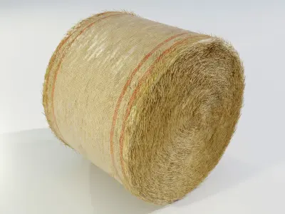 Round Hay Bale 3D model