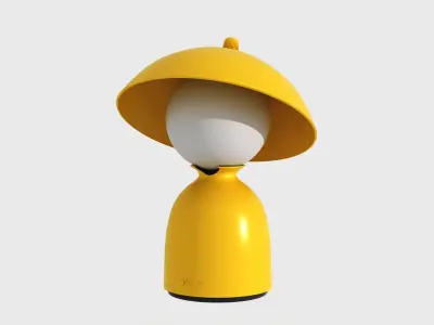 Hat Companion Lamp  3D model