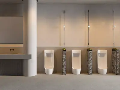 Feng toilet 3D model