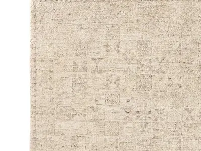 AYLIN WOOL RUG 3D model