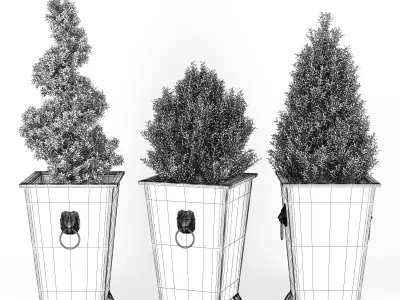 BOXWOOD TOPIARY 3D model