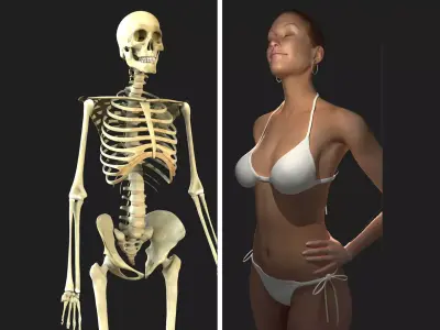 Full Female Body With Skeleton 3D model