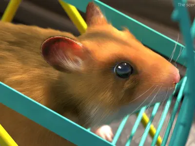  Small Hamster Runs in Wheel Animated Fur Rigged For Blender 