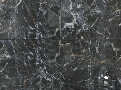 Wall Tiles Museum Laurent Black 120x120 Texture