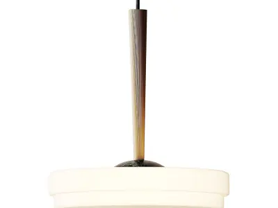 Trave Pendant Light from Bert Frank 3D model