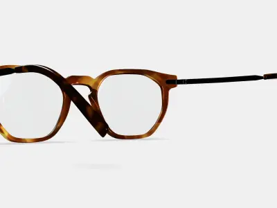 Rustin Eyeglasses in Root Beer with Brushed Ink 3D model