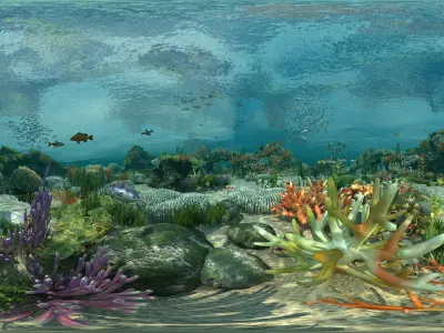  Ocean floor coral reefs Shoal of fish 