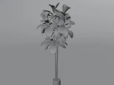 Floor Plant 03 Free low-poly 3D model